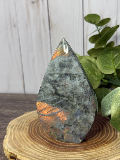 Labradorite Freeforms