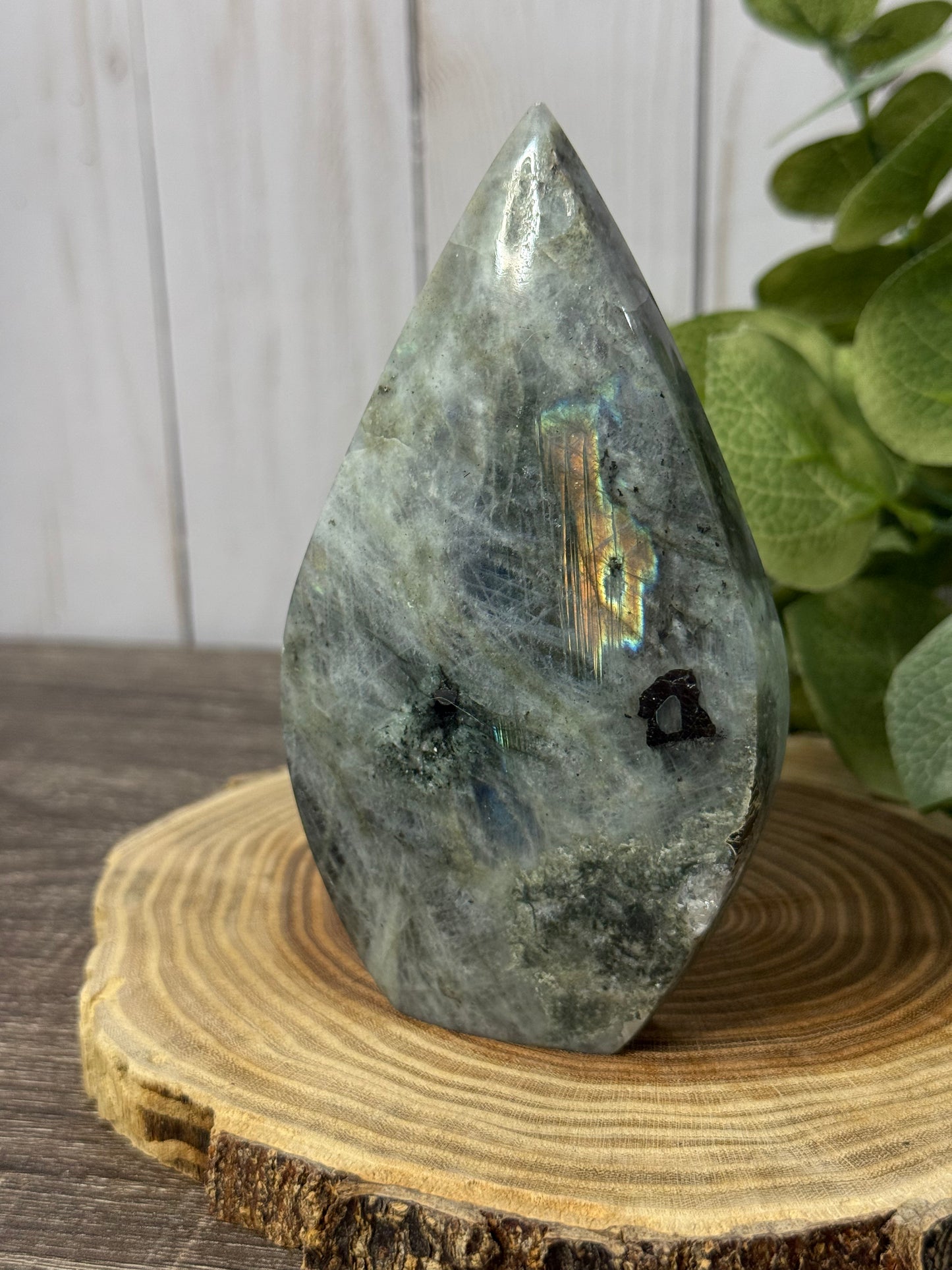 Labradorite Freeforms