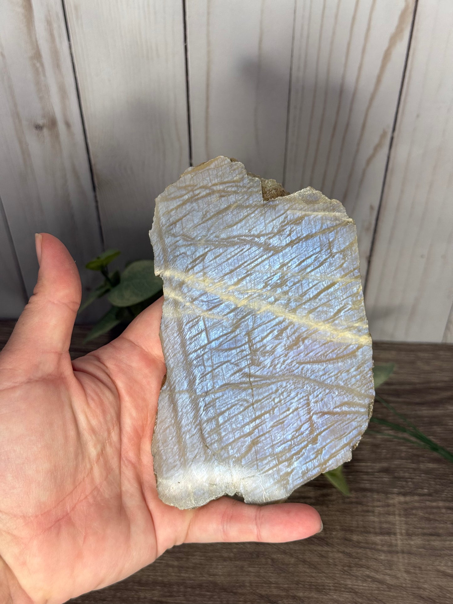 Moonstone Slabs