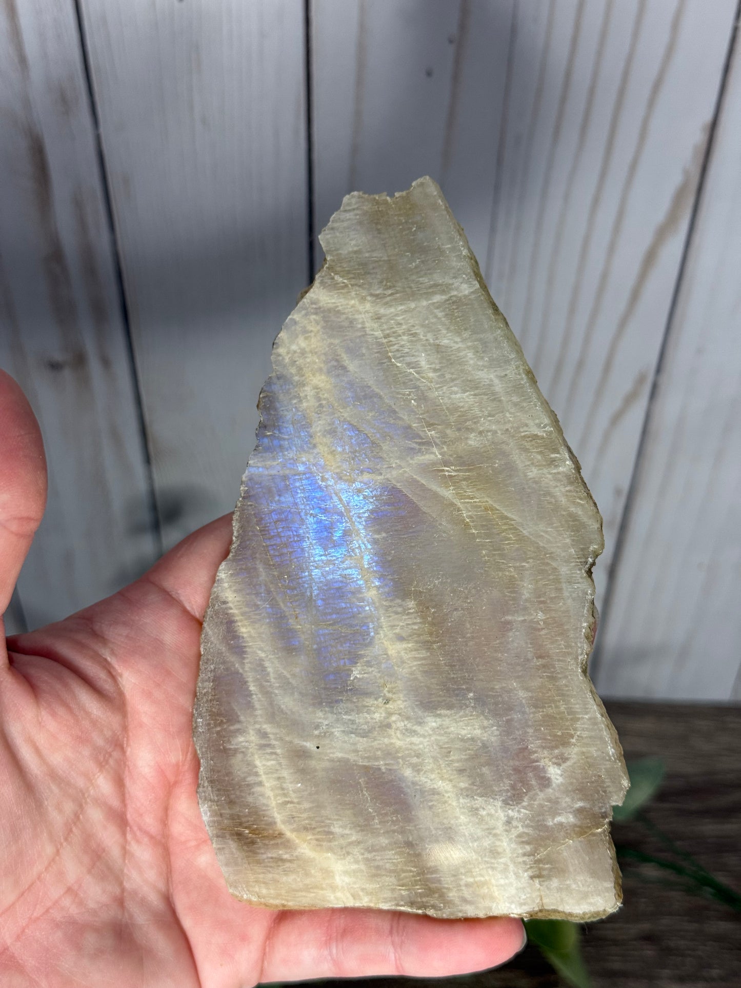 Moonstone Slabs