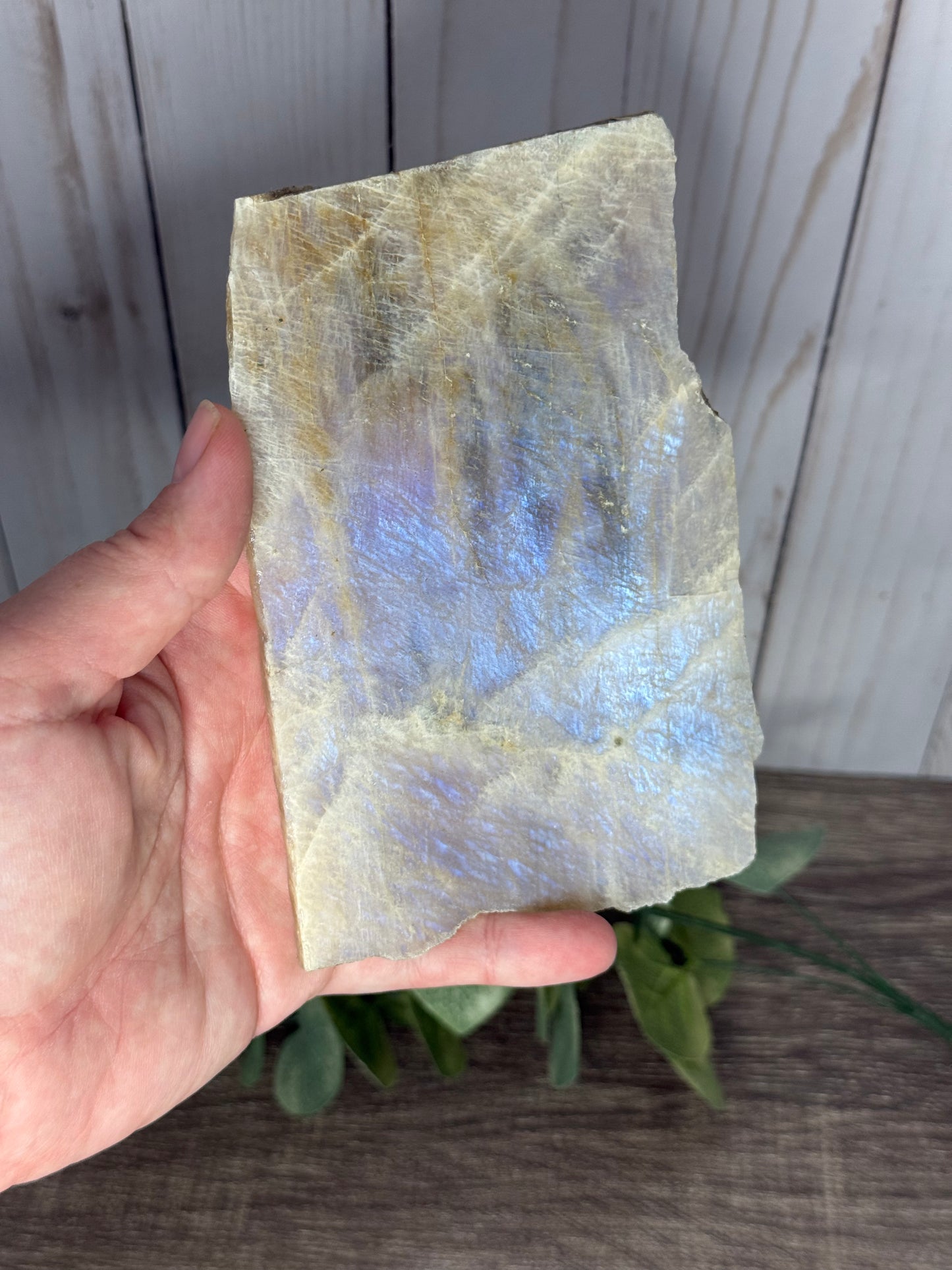Moonstone Slabs