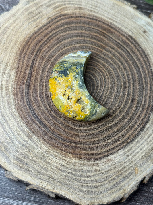 Bumblebee Jasper Moons