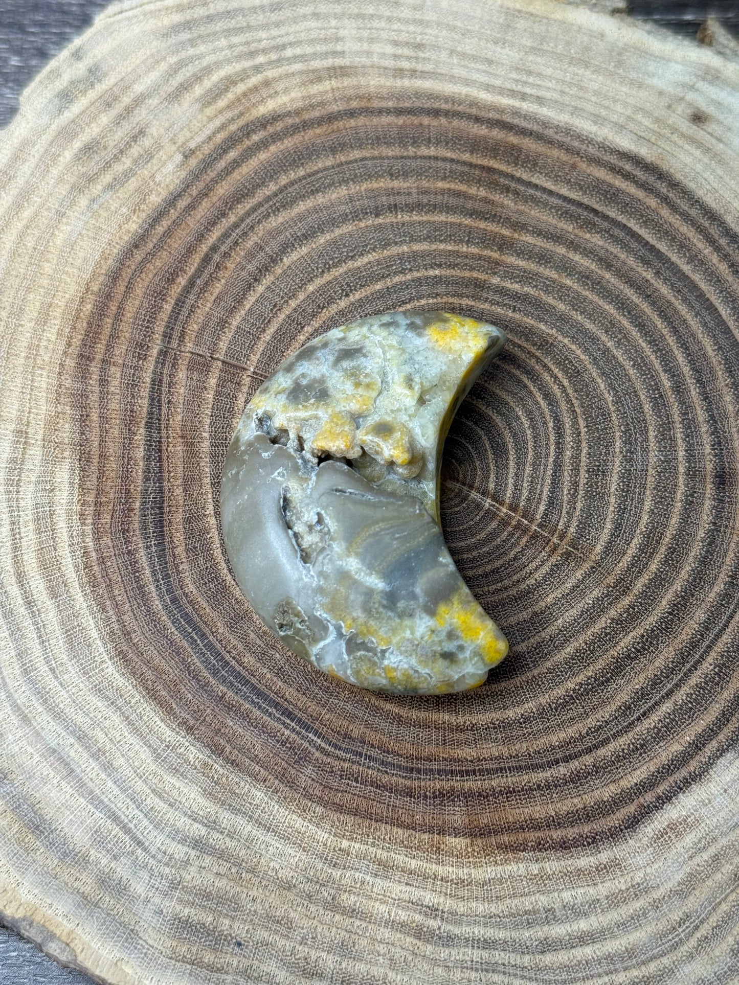 Bumblebee Jasper Moons