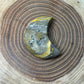 Bumblebee Jasper Moons