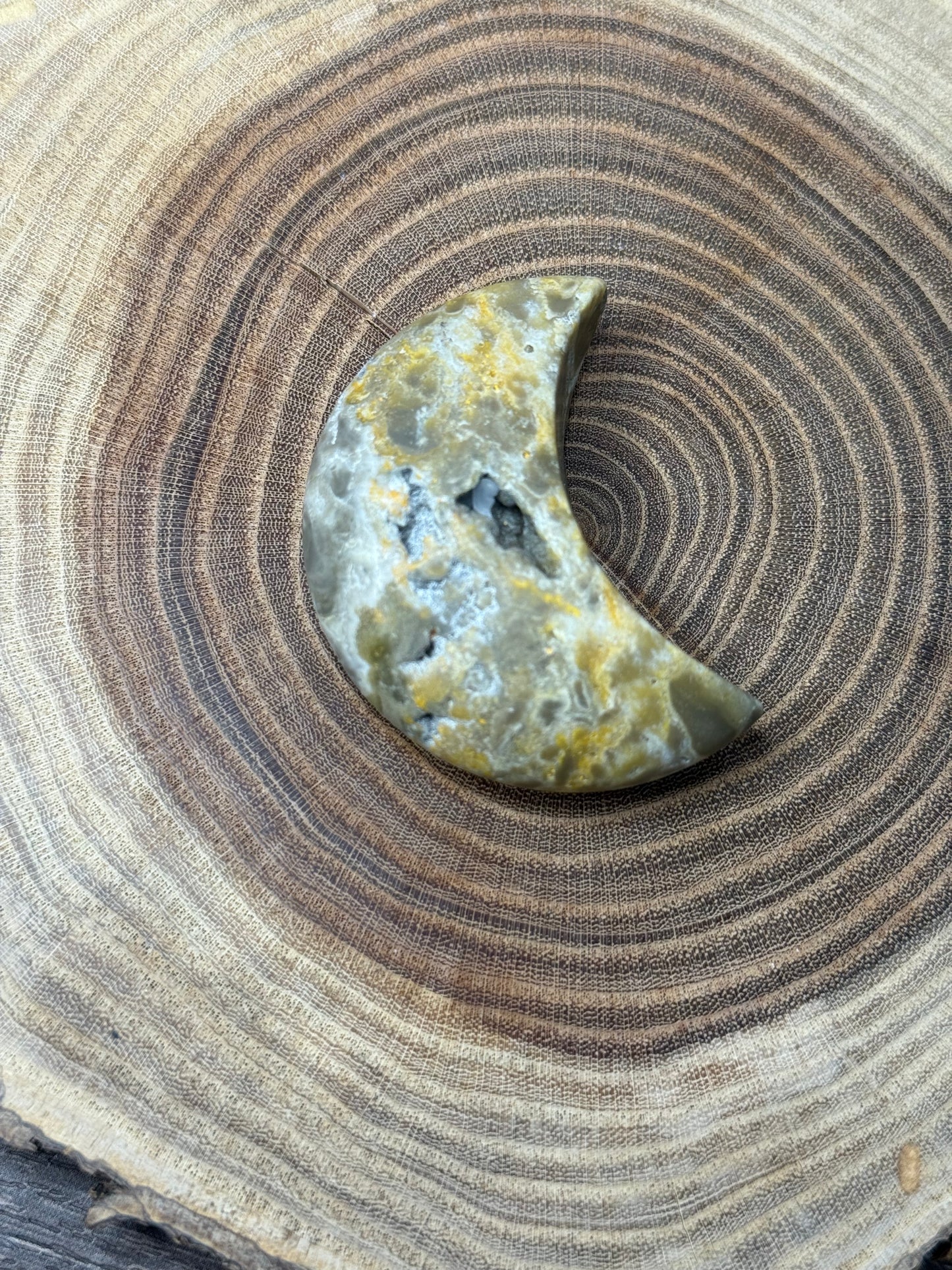 Bumblebee Jasper Moons