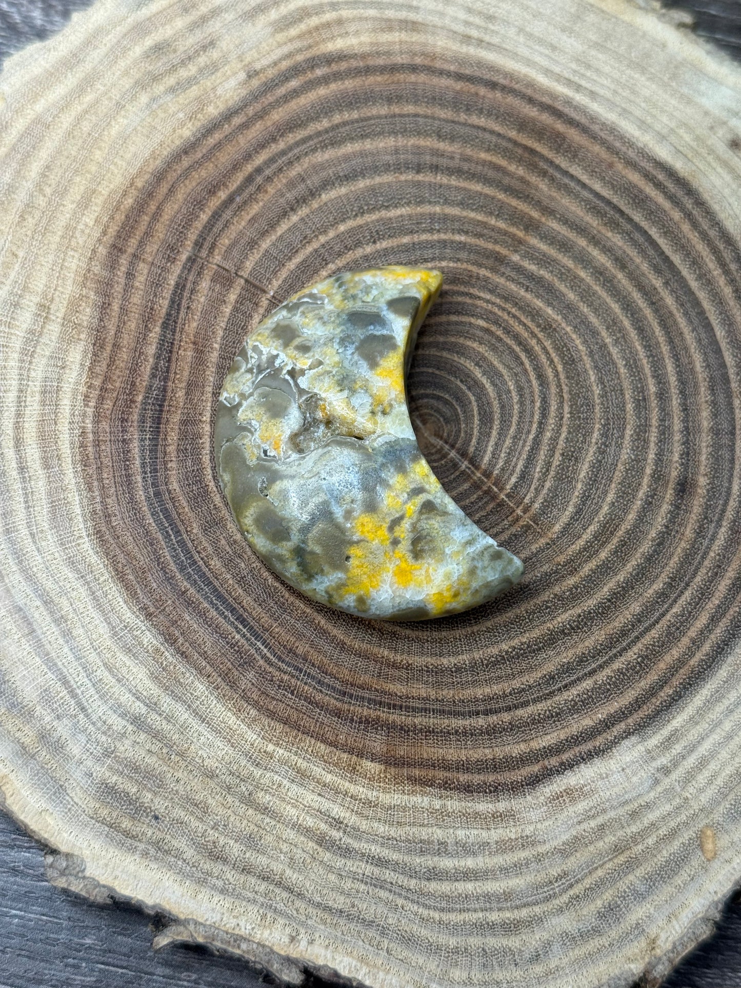 Bumblebee Jasper Moons