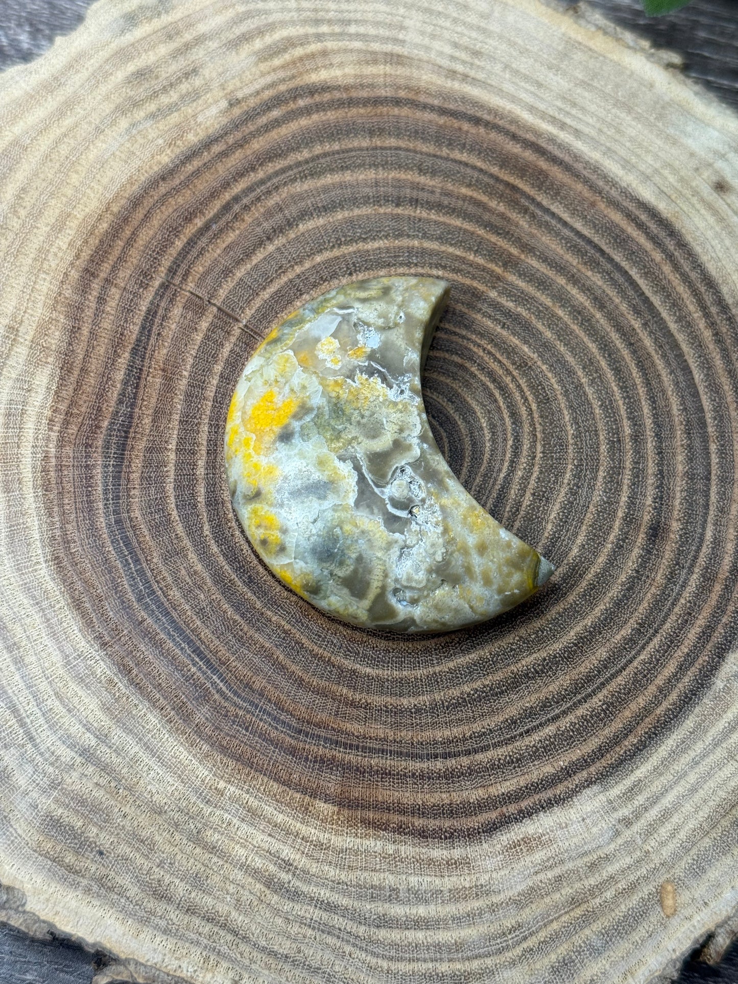 Bumblebee Jasper Moons