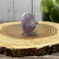 Psyduck Carving - Pokemon