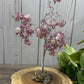Crystal Chip Large Trees