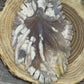 Flower Agate Octapus