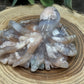 Flower Agate Octapus