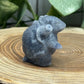 Blastoise Pokemon Carving - Blue Aventurine