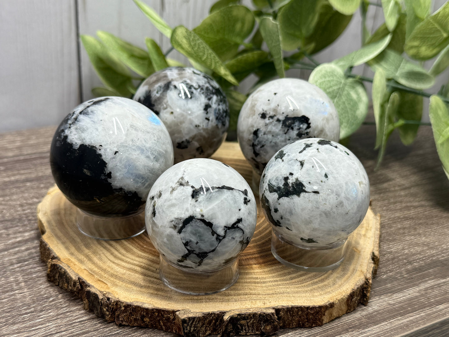 Rainbow Moonstone Spheres