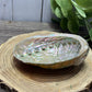 Abalone Shell