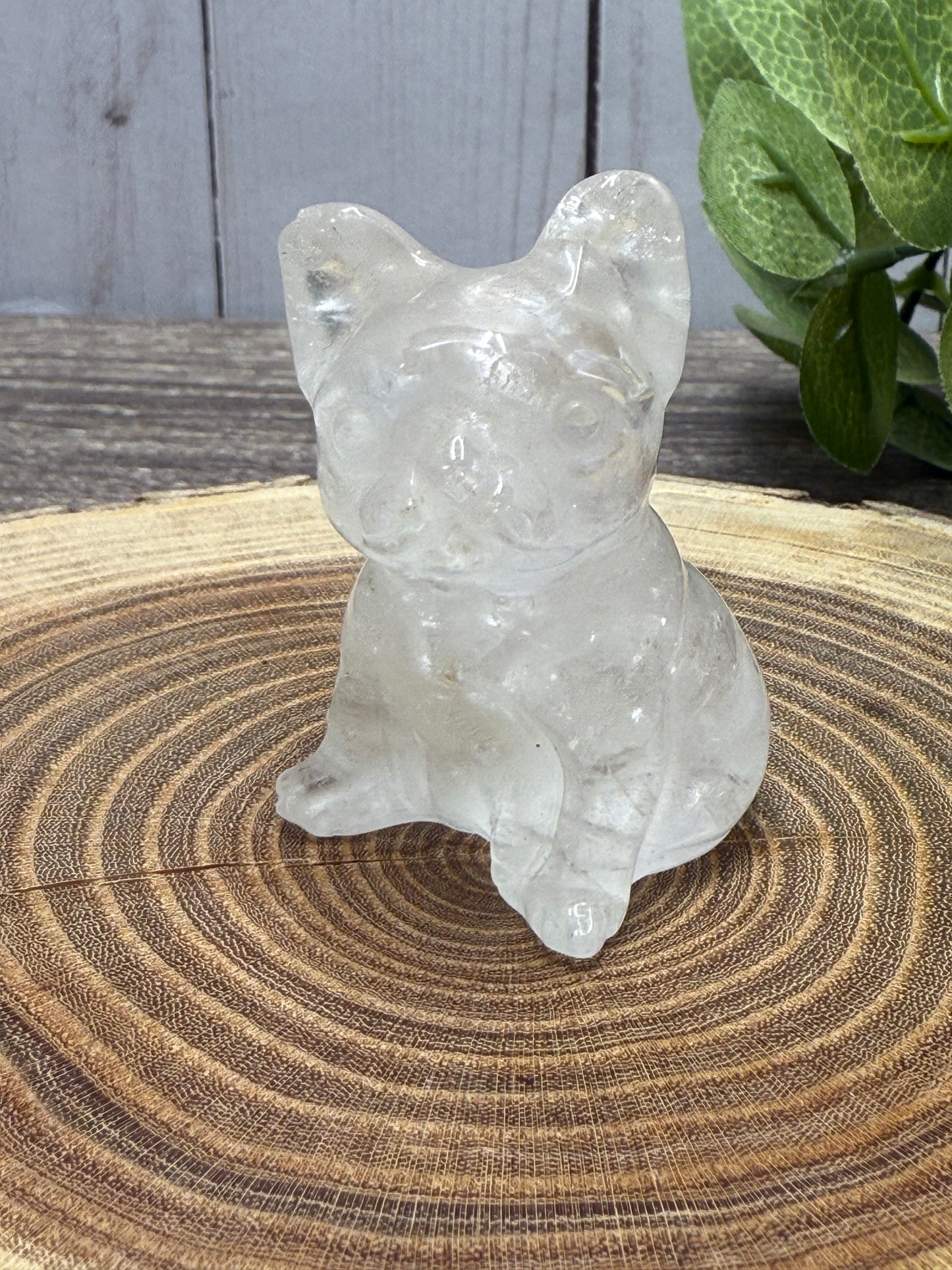 Misfit Clear Quartz Frenchie Dog