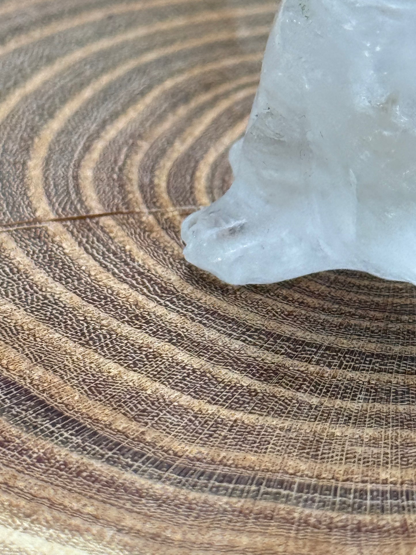 Misfit Clear Quartz Frenchie Dog