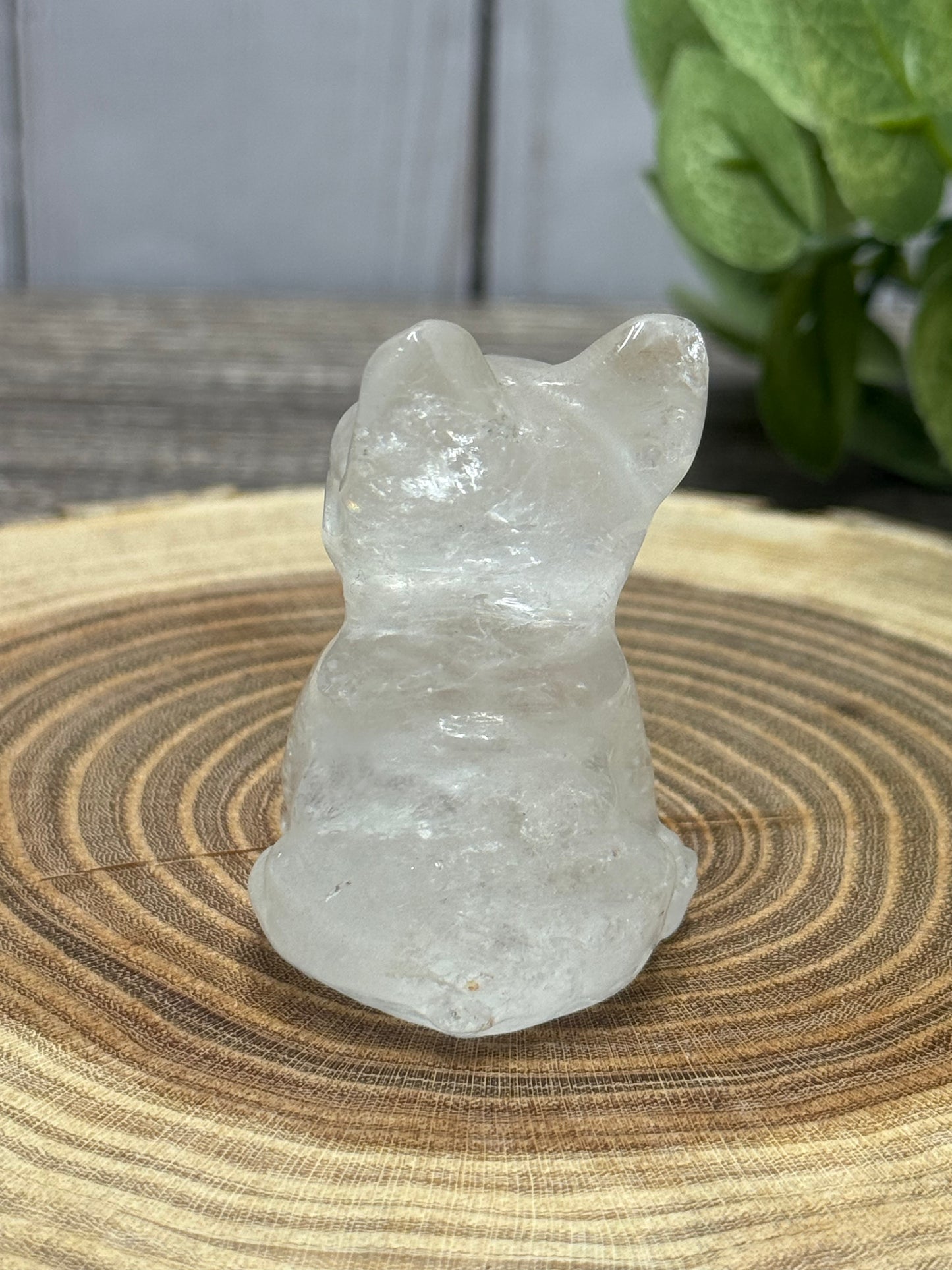 Misfit Clear Quartz Frenchie Dog