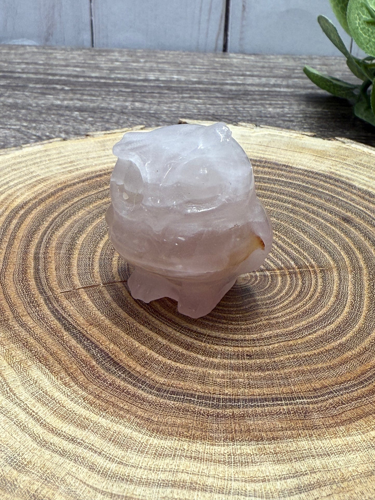 Misfit Owls - chipped horns