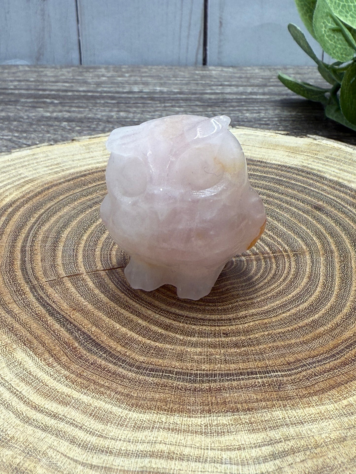 Misfit Owls - chipped horns