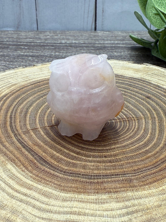 Misfit Owls - chipped horns