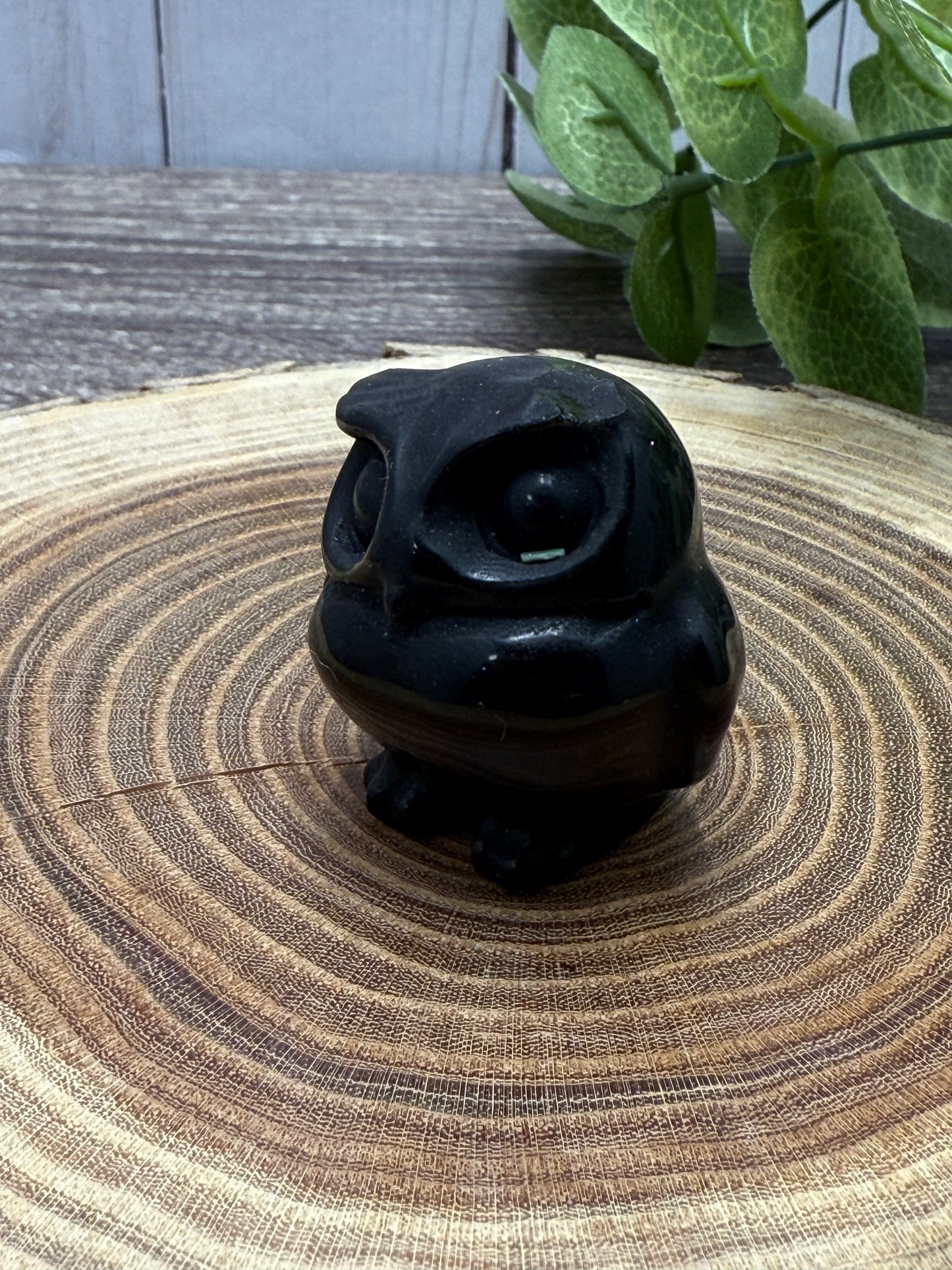 Misfit Owls - chipped horns