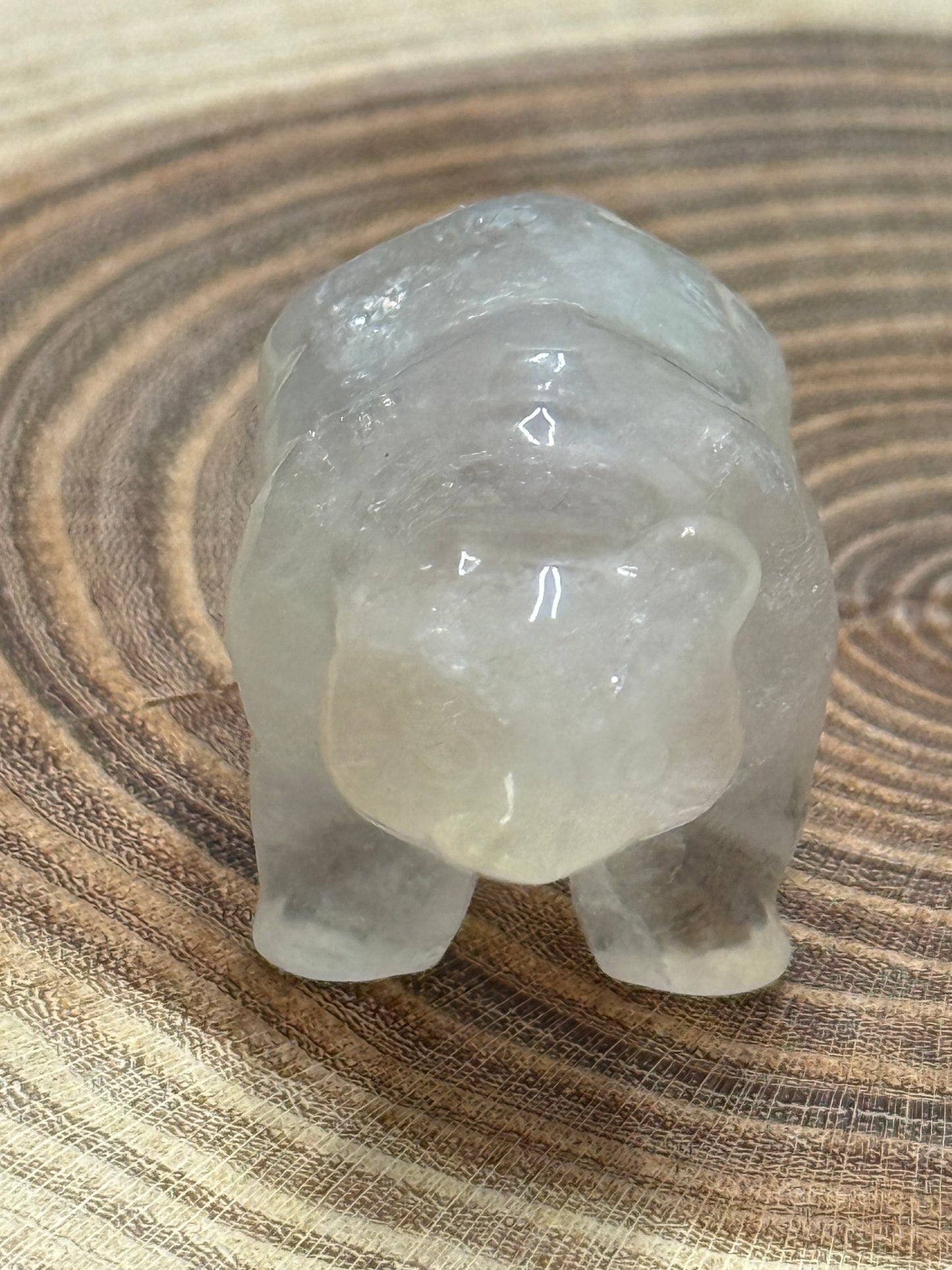 Misfit Clear Quartz Bear