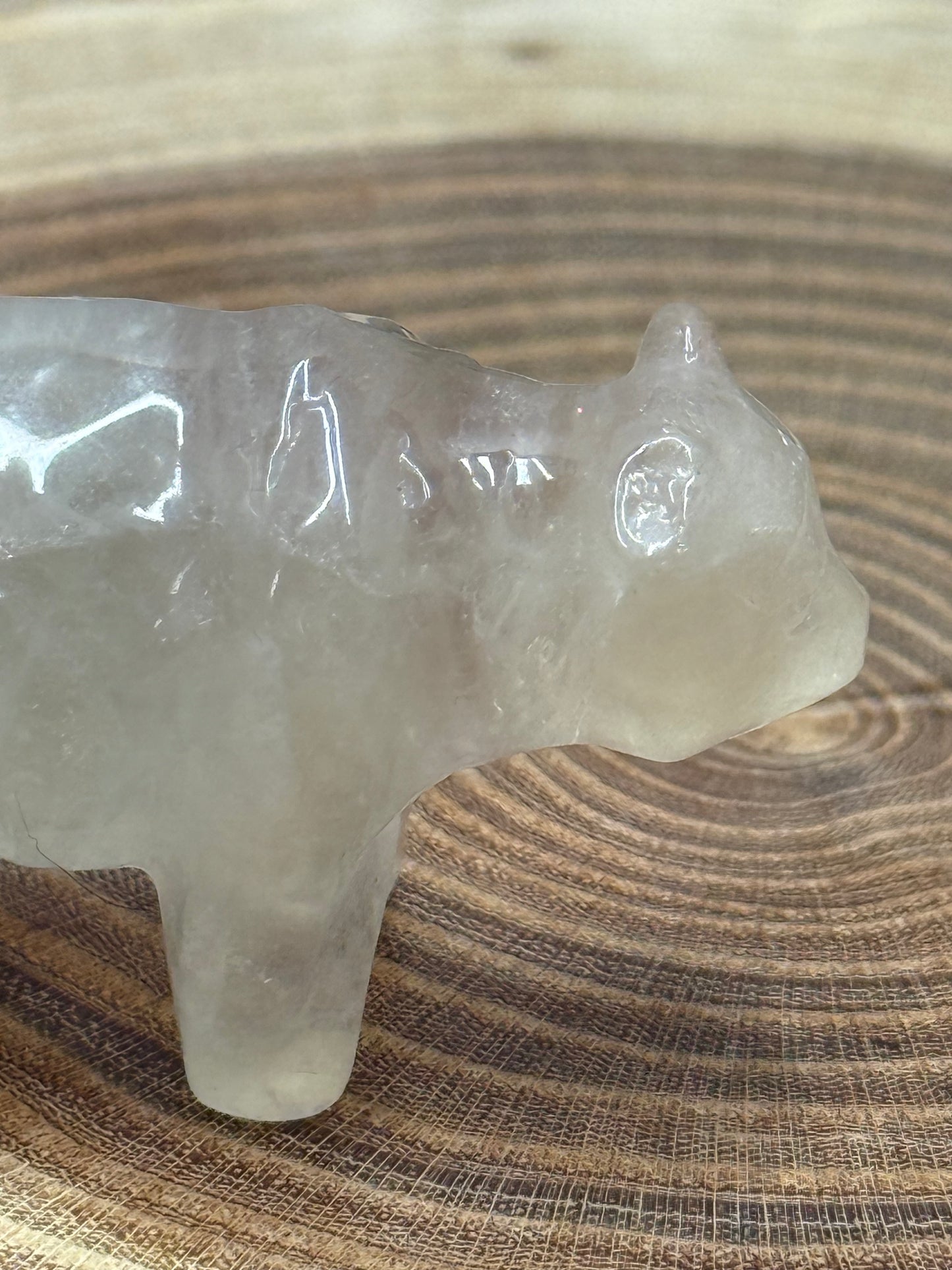 Misfit Clear Quartz Bear