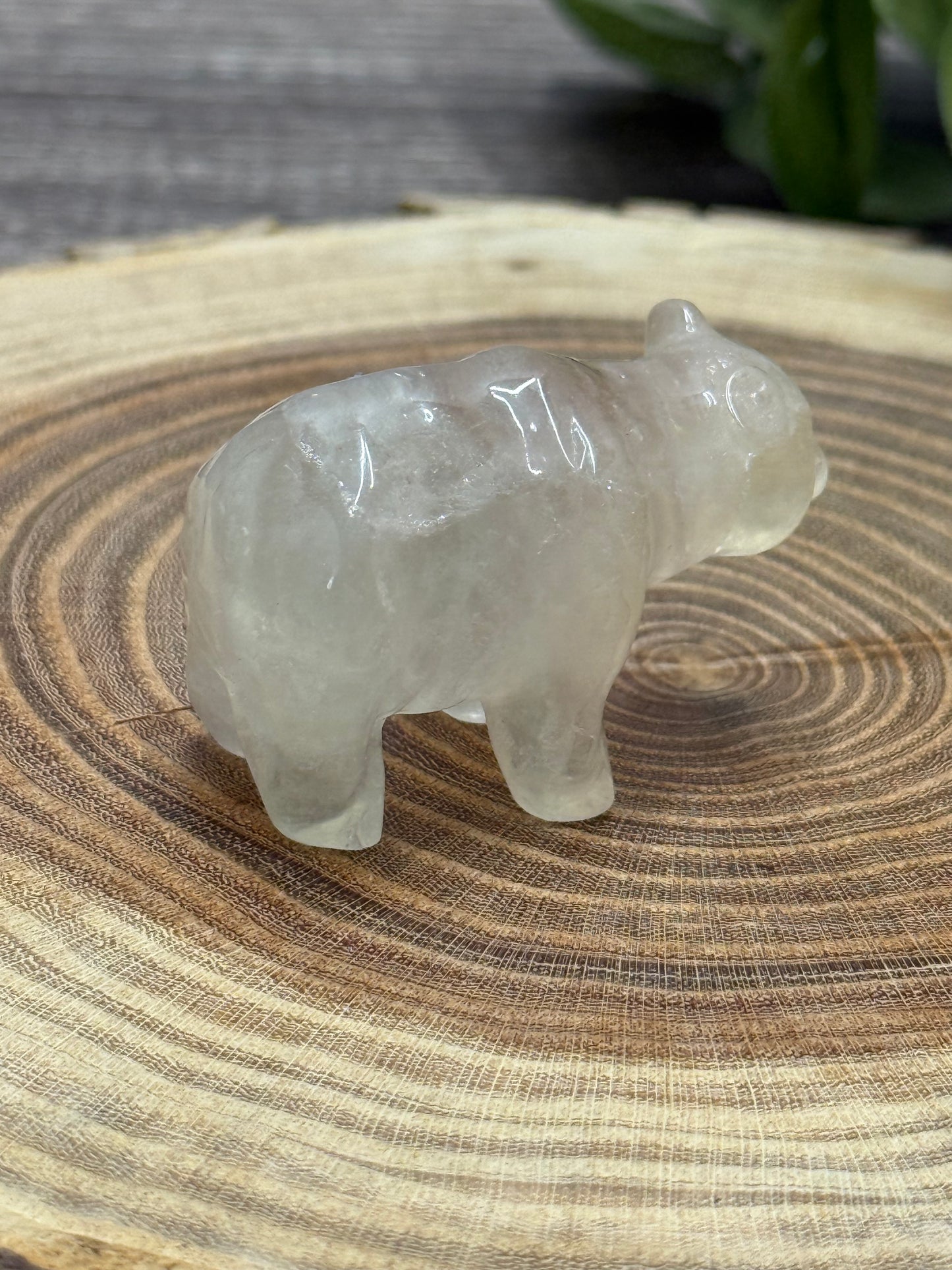 Misfit Clear Quartz Bear