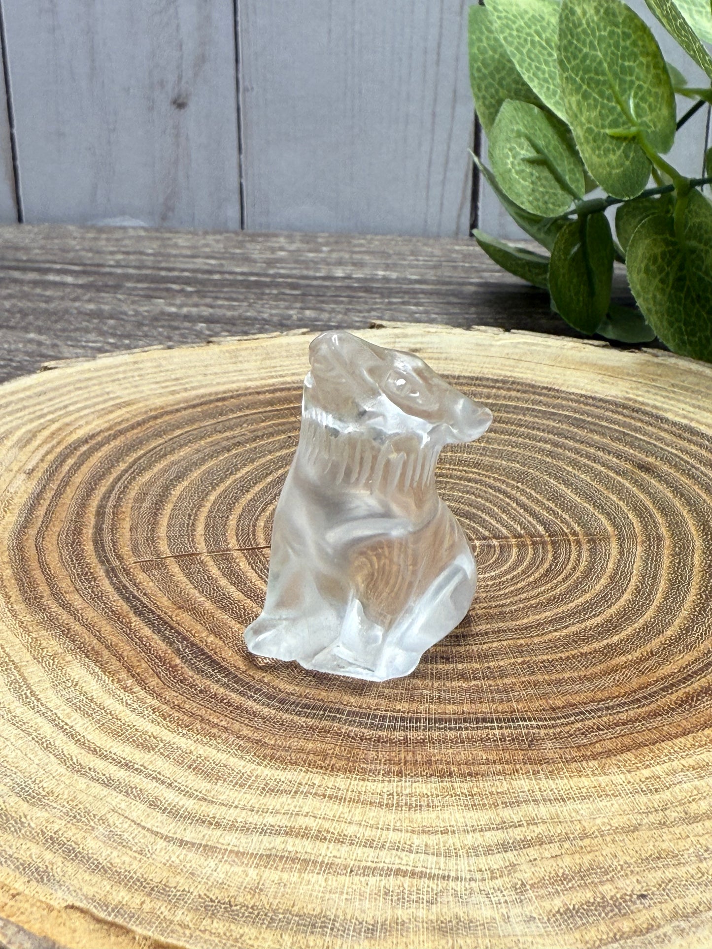 Misfit Clear Quartz Wolf - broken foot