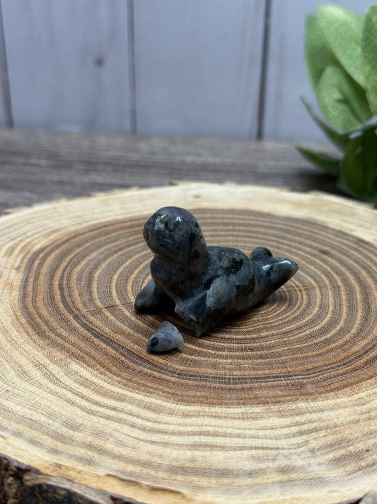 Misfit Larvakite Seal - broken foot