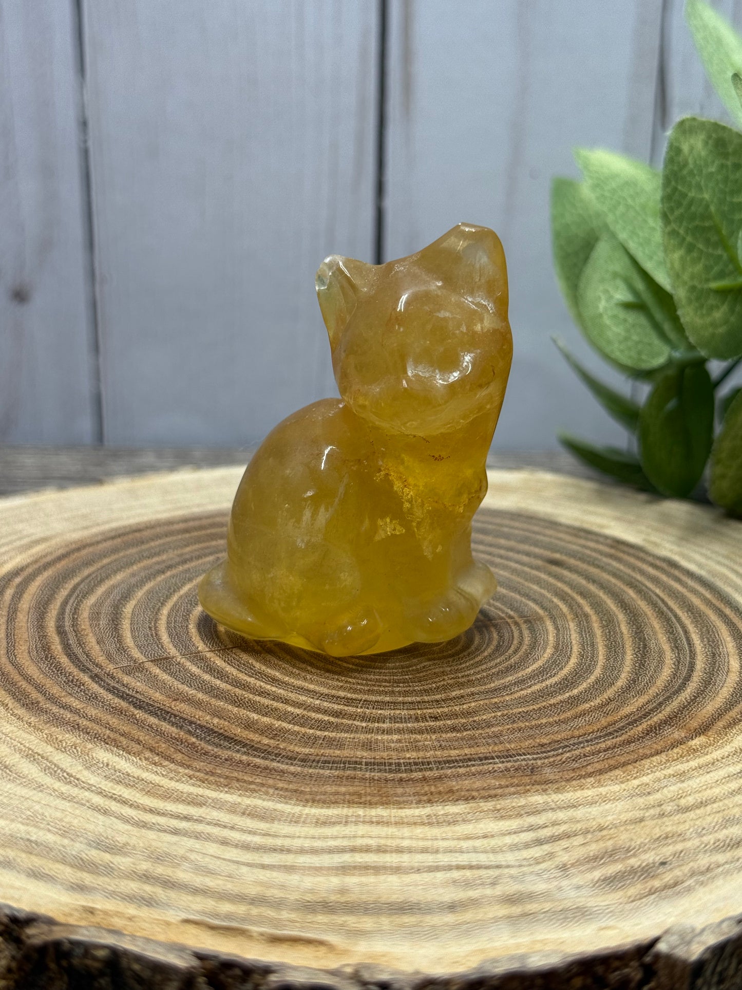 Misfit Fluorite Cat - chipped ear