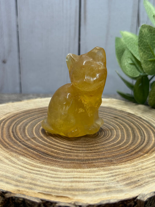 Misfit Fluorite Cat - chipped ear