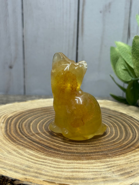 Misfit Fluorite Cat - chipped ear