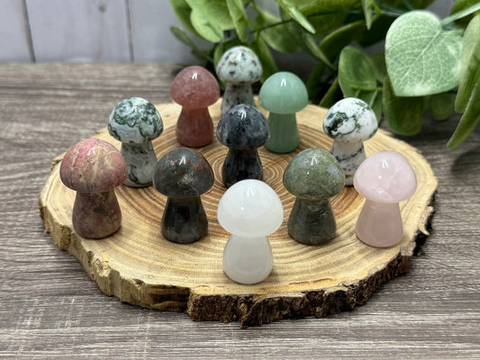 Crystal Medium Mushrooms