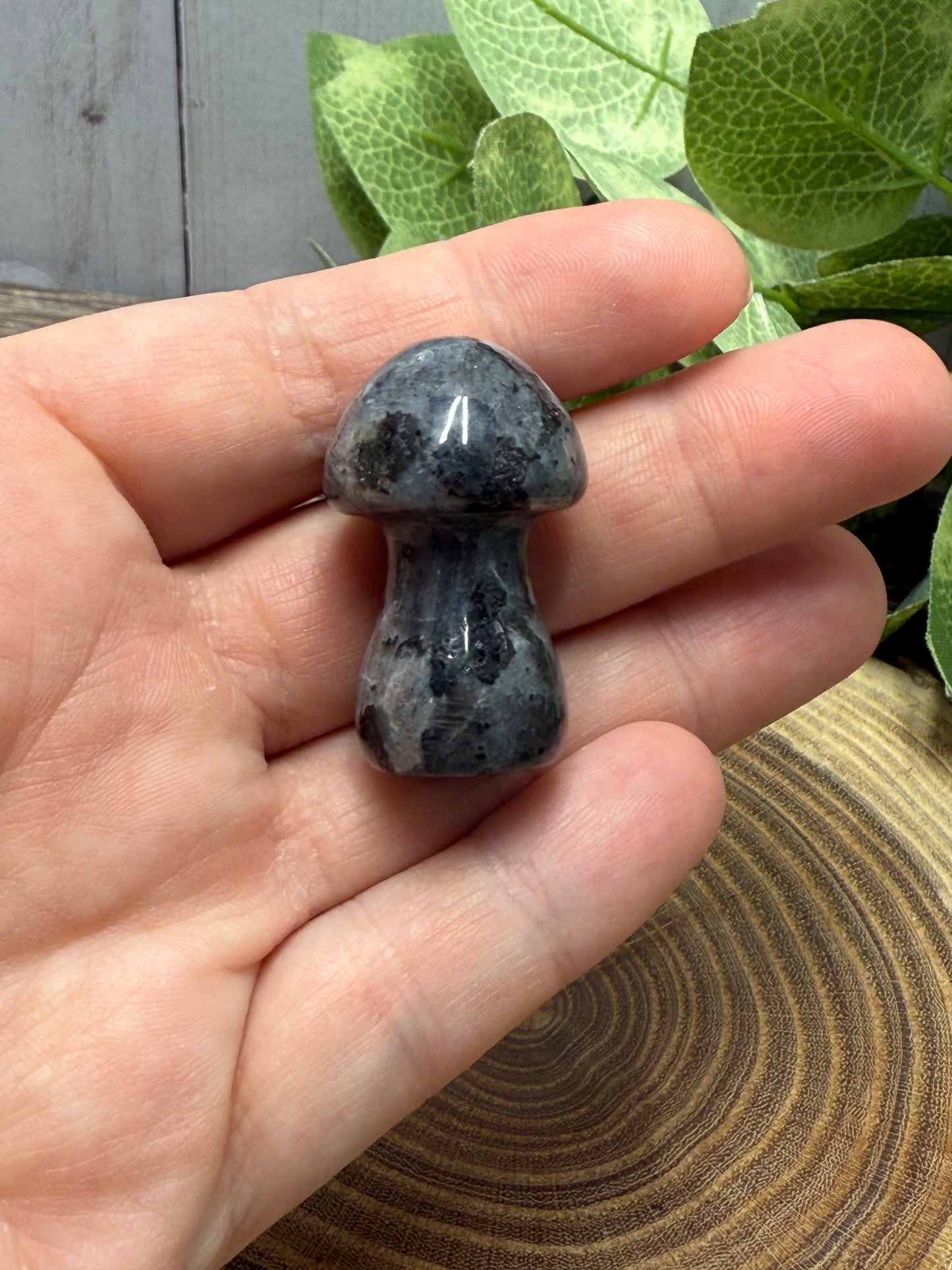 Crystal Medium Mushrooms