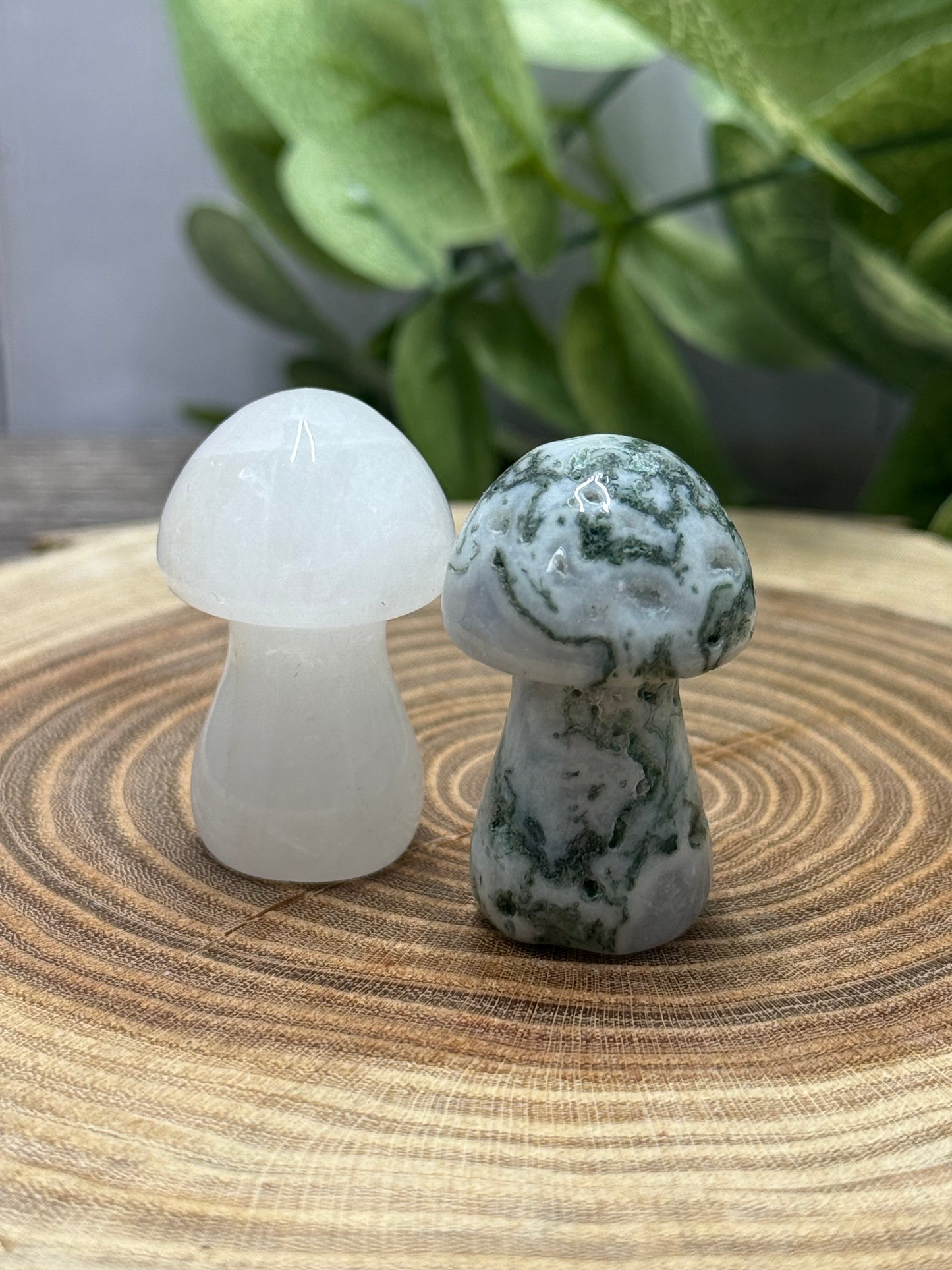 Crystal Medium Mushrooms