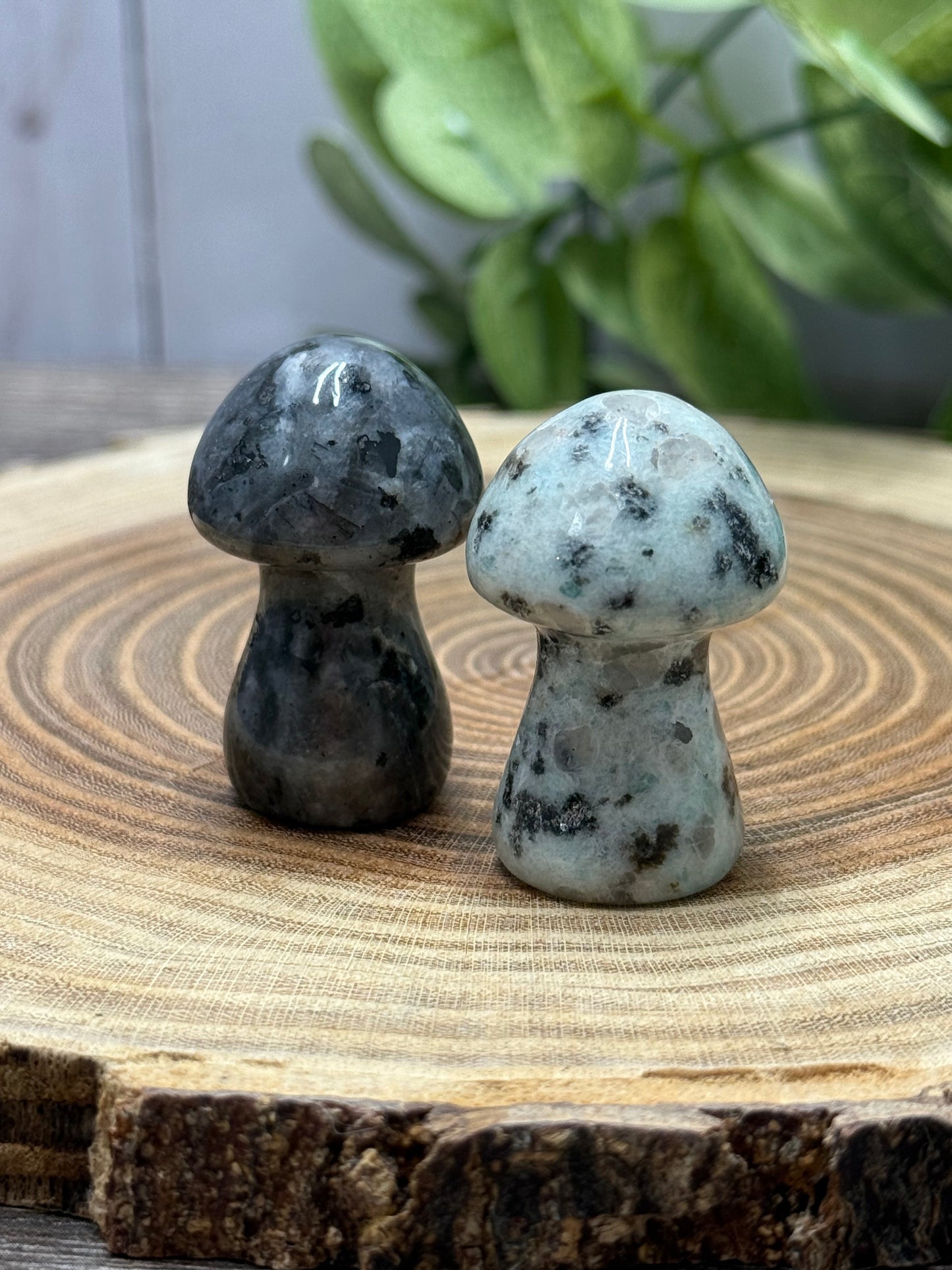 Crystal Medium Mushrooms