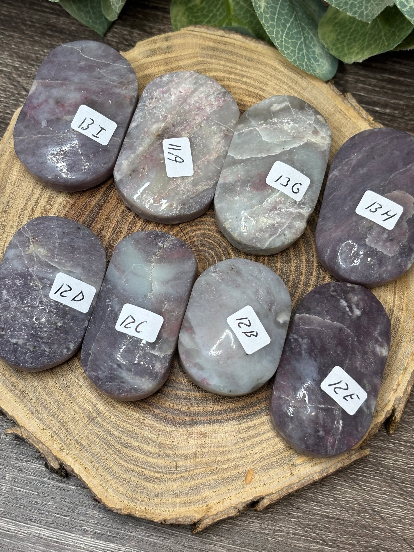 Unicorn Stone Palm Stone