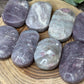 Unicorn Stone Palm Stone