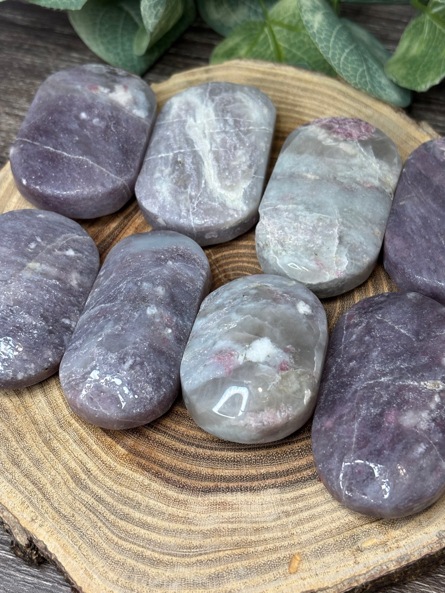 Unicorn Stone Palm Stone