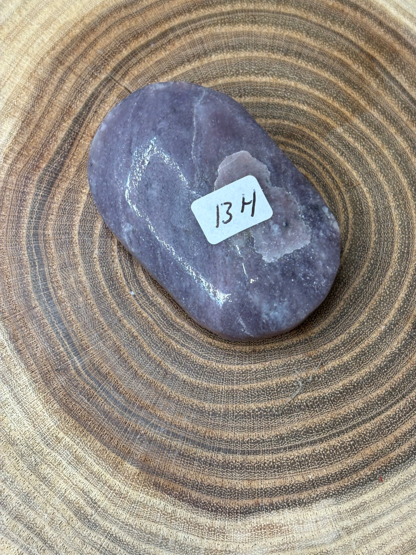 Unicorn Stone Palm Stone