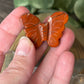 Butterfly Carvings