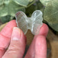 Butterfly Carvings