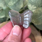 Butterfly Carvings