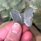 Butterfly Carvings