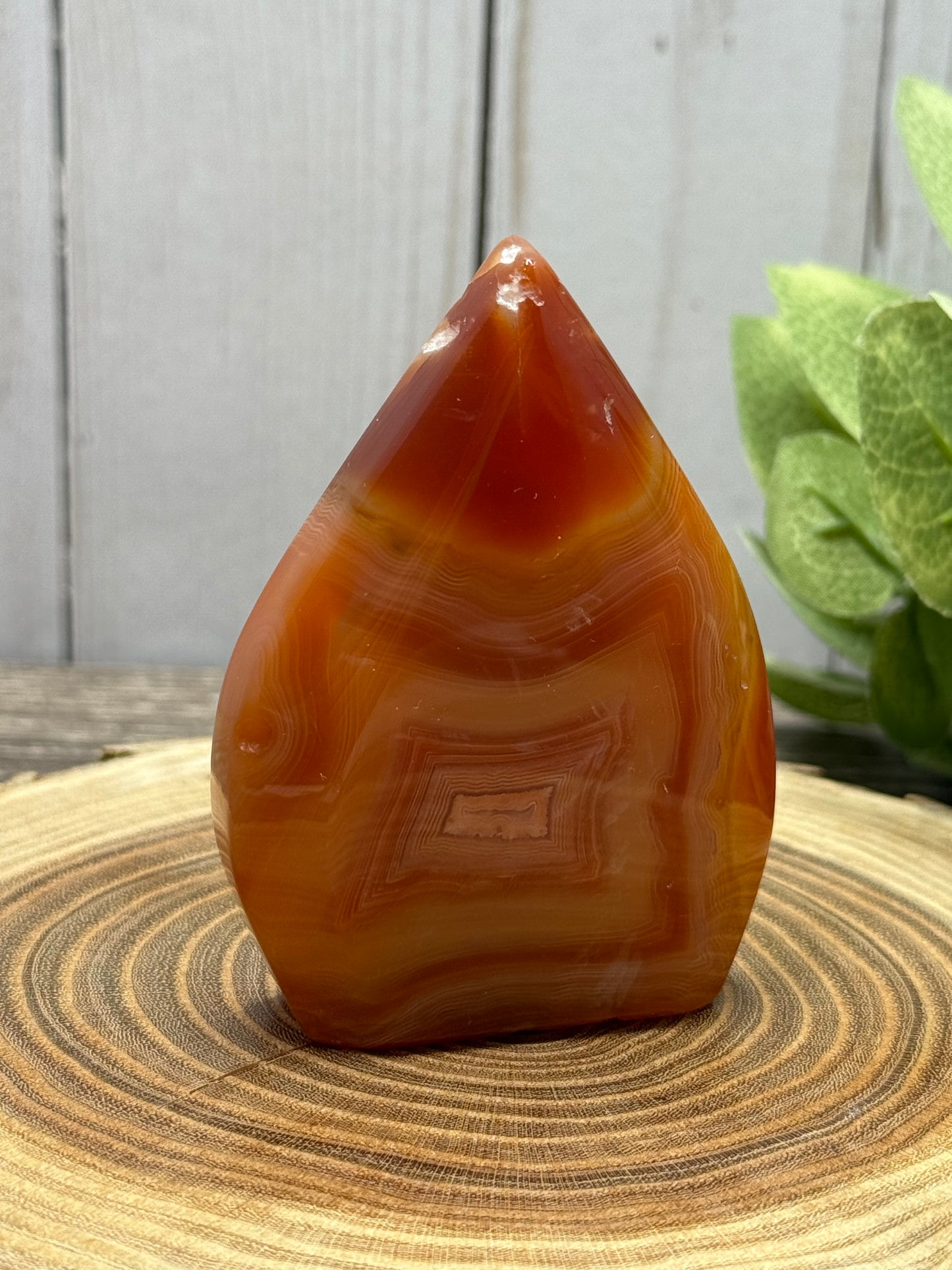 Carnelian  Freeforms