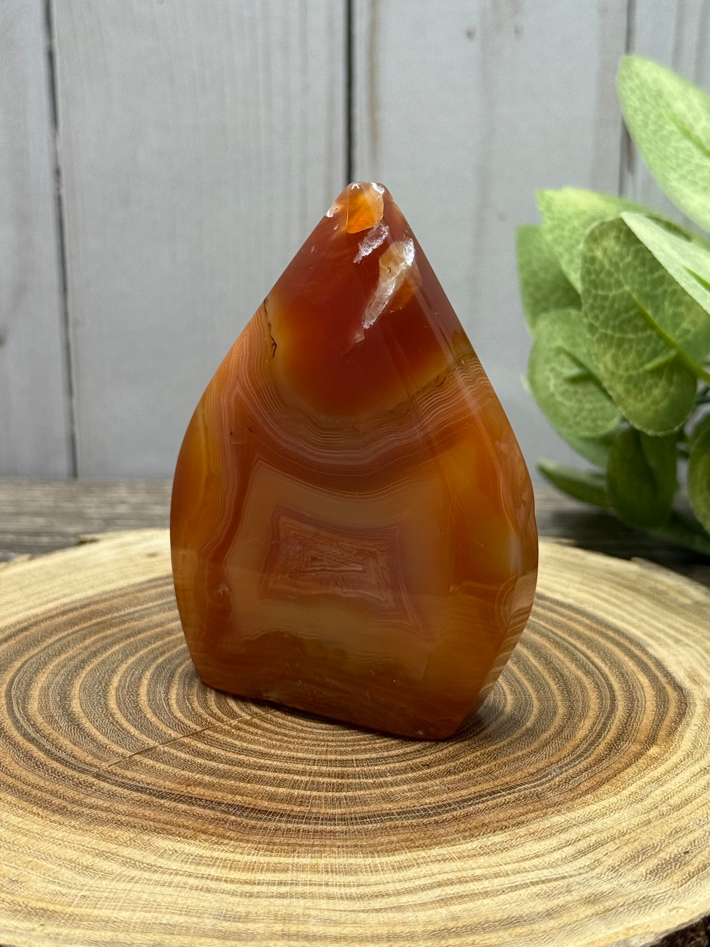 Carnelian  Freeforms