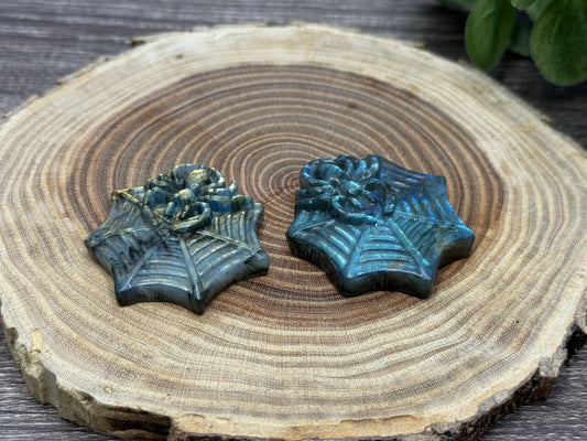 Spider and Web - Labradorite