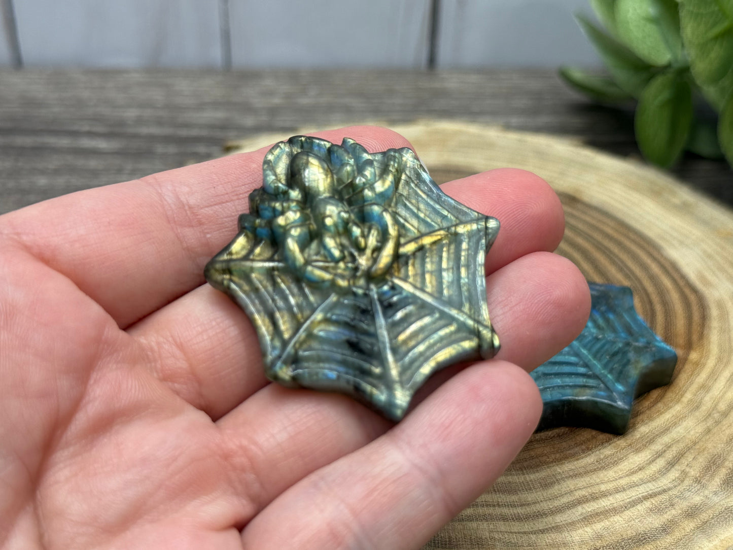 Spider and Web - Labradorite