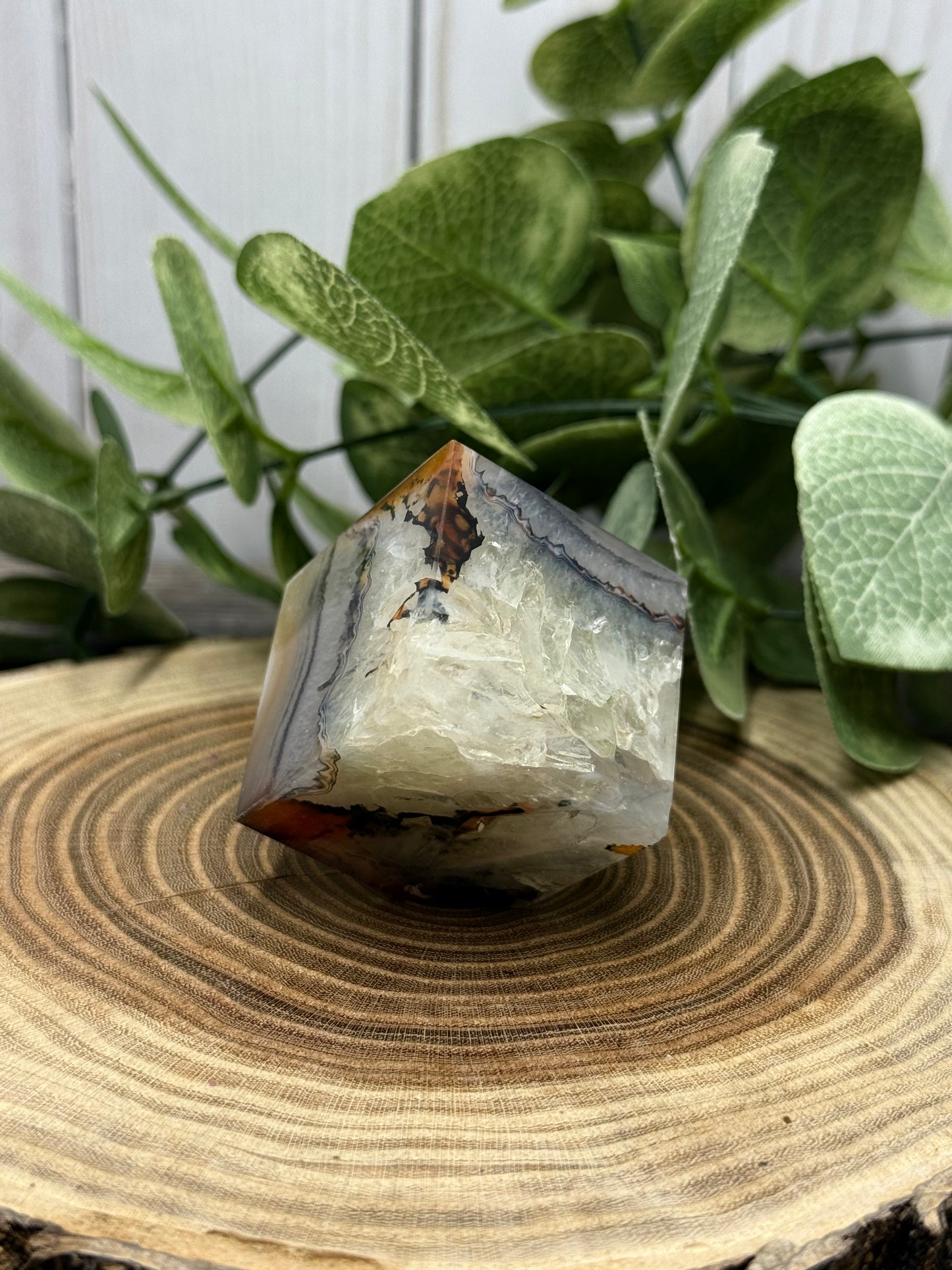 Saradonyx Square / Cubes